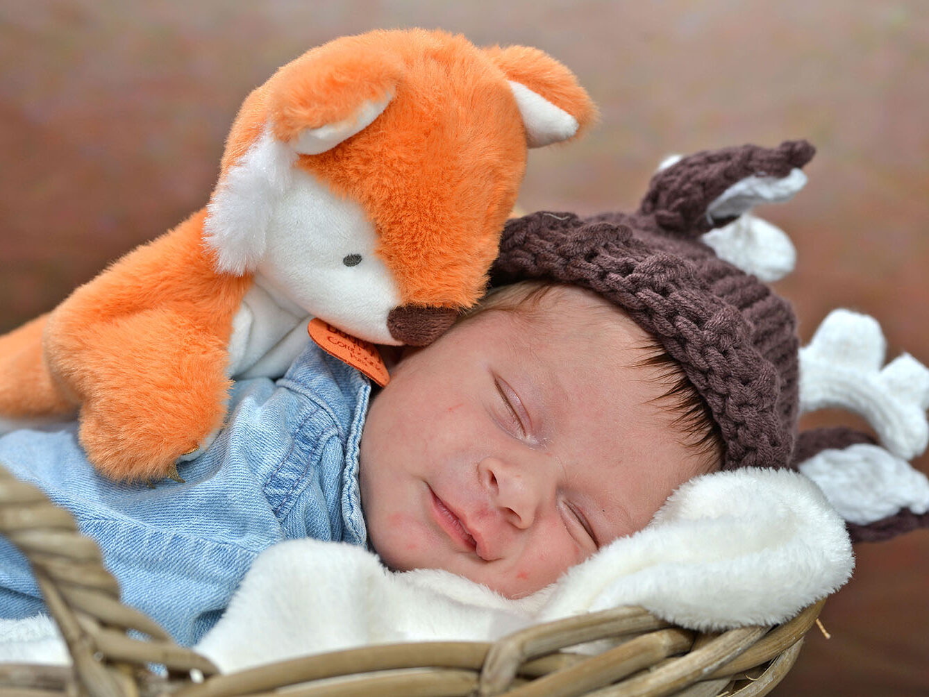 photographe-bebe-imagia-studio (10)